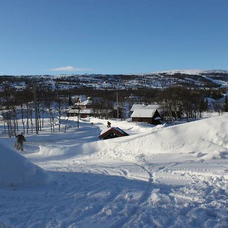 Apartmán Bergfosshytta Ron Exteriér fotografie