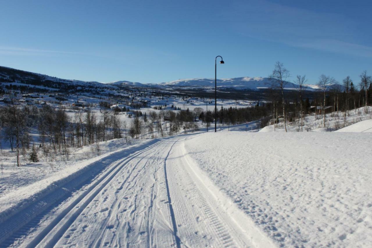 Apartmán Bergfosshytta Ron Exteriér fotografie
